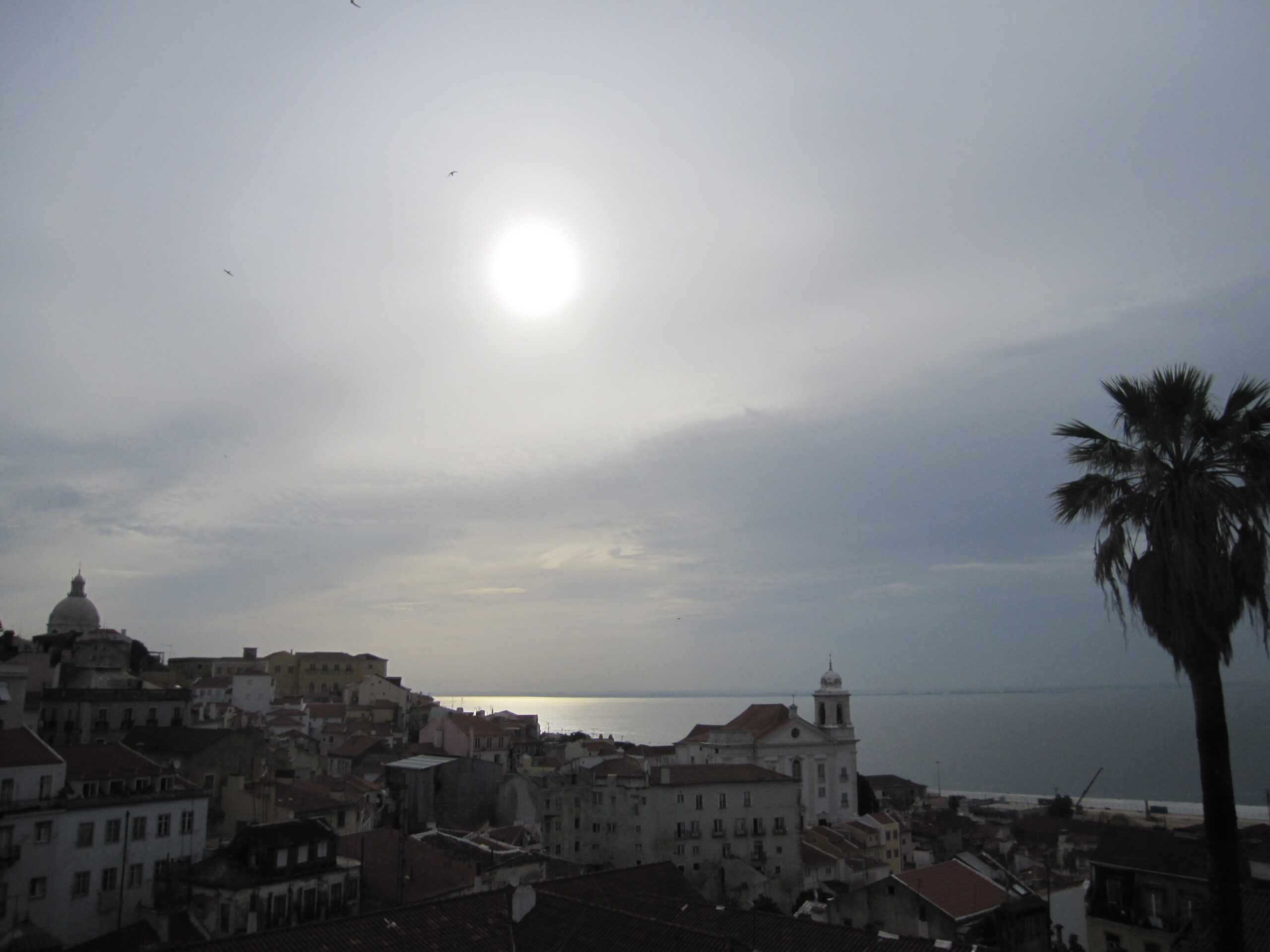 Hillside view over Alfama’s tiled rooftops, with the dome of Santa Engrácia in the distance.