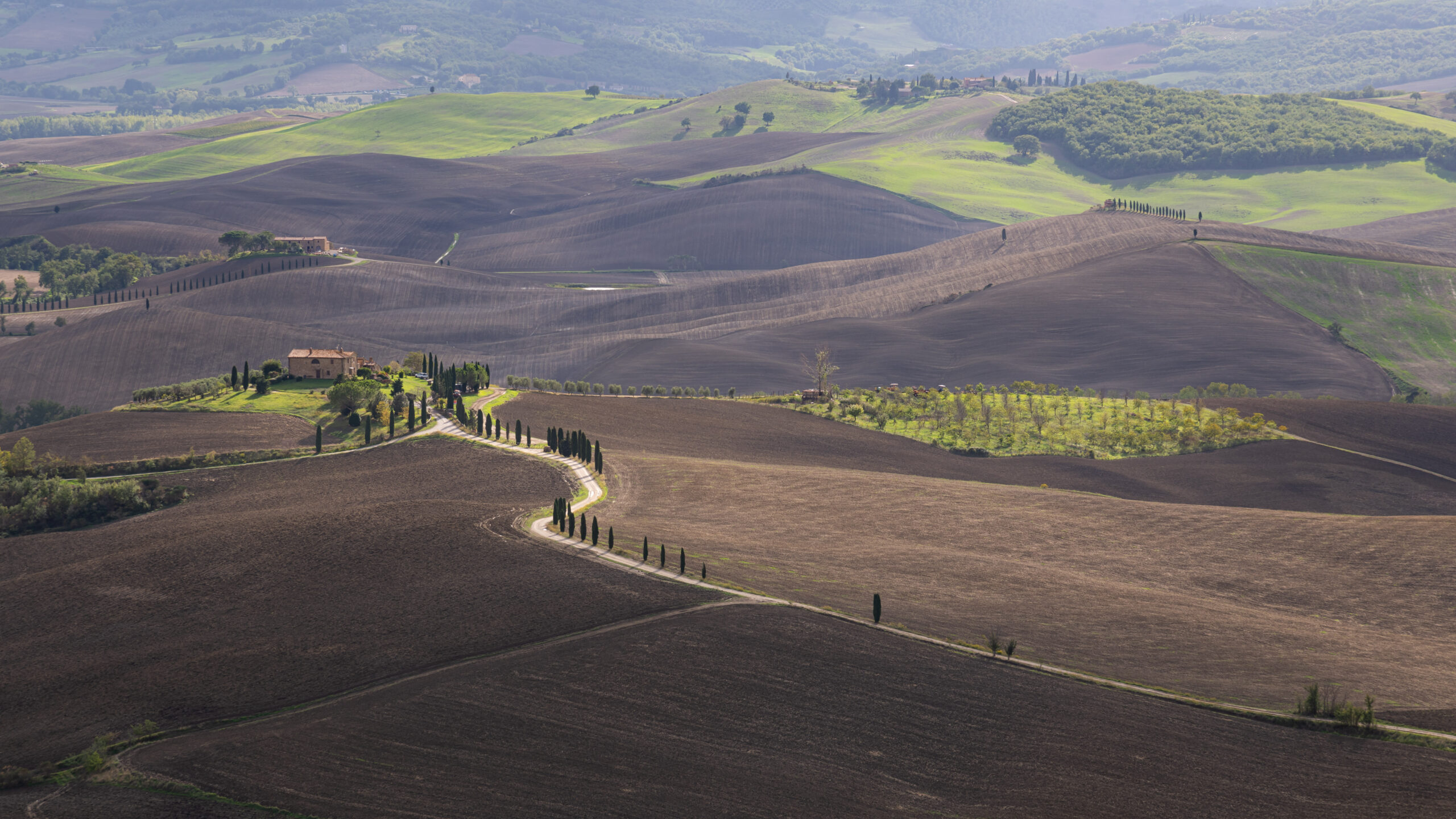 Road crossing the rural landscape of Val d’Orcia below Pienza in Tuscany.